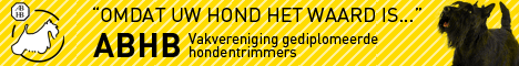 banner1abhb