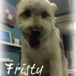 fristy