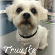 truuske